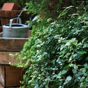 3* Отель Garden